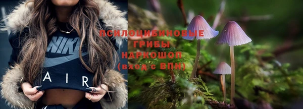 меф Арсеньев
