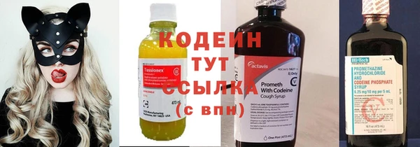 меф Арсеньев