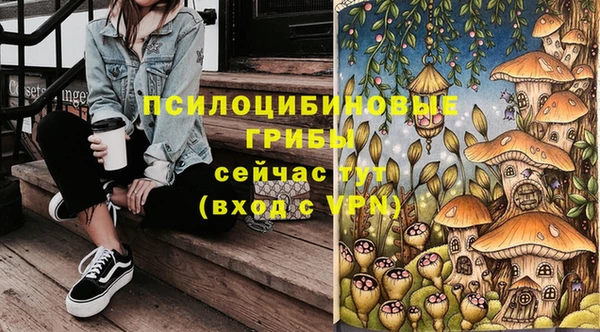 меф Арсеньев