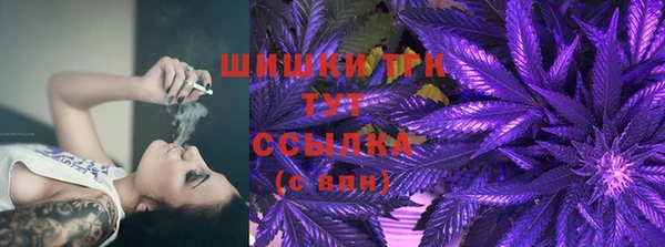 меф Арсеньев