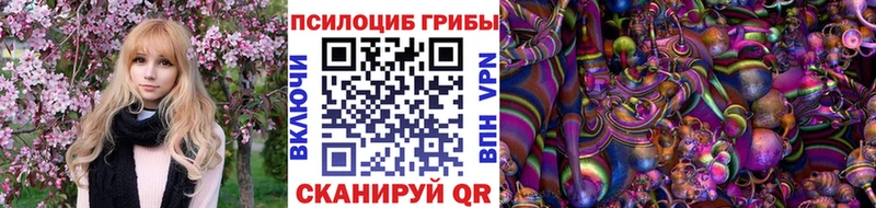 Псилоцибиновые грибы Psilocybine cubensis  закладки  Нововоронеж 