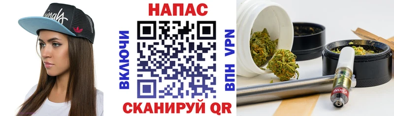 Каннабис OG Kush  Нововоронеж 